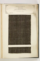 Materiale for Pantaloons, Loodiana, Punjab, Piece Goods, fra The Collection of the Textile Manufacturers of India, av John Forbes Watson, utgitt i 1866