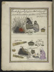 Menn og kvinner som steker vannkastanjer,  86 tegninger bundet inn i et bind som viser handel og yrker i Kashmir, håndverkere vises i arbeid med redskaper og utstyr,  Av en Kashmir-kunstner, sannsynligvis i Srinagar, ca. 1850-60 (gouache på papir