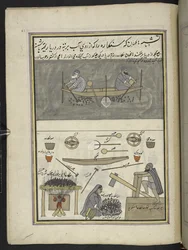 Menn som samler vannkastanjer; mann og kvinne steker og banker vannkastanjer,  86 tegninger bundet inn i et bind som viser handel og yrker i Kashmir, håndverkere vises i arbeid med redskaper og utstyr,  Av en Kashmir-kunstner, prob