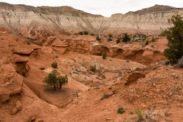 Et landskap ved Kodachrome Basin State Park, Utah, 2019 (bilde)
