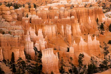 Hoodoos – spir skapt av erosjon – i Bryce Canyon nasjonalpark i Utah, 2019 (bilde)