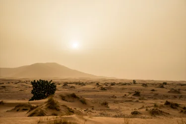 Sanddyner i Erg Chebbi-ørkenen i det sørøstlige Marokko, 2014 (bilde)