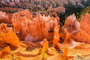 Soloppgang på Hoodoos i Bryce Canyon nasjonalpark, 2012 (bilde)