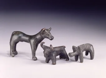 To okser, fra Ungarn og en villsvin, fra Gower Cave, Rhossilly, Sør-Wales, jernalder (bronse)