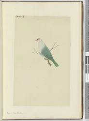 F.12 Due. Ny-Caledonia, 1772–75 (wc)