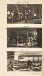 Handler i Regency England: glassblåsing, colliery og soling