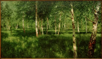 Birkenhain