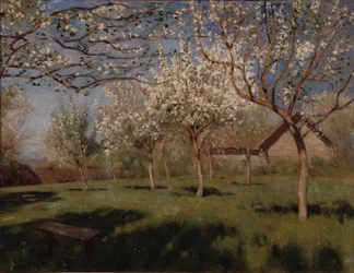 Blomstrende epletrær