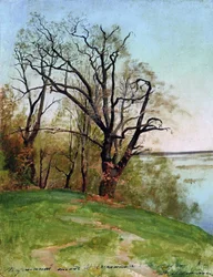 Eiketre på elvebredden, 1887.