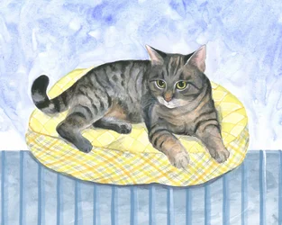 Putekatt