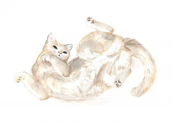 Leken katt