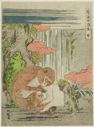 Monkey (Saru), fra serien "Fashionable Twelve Signs of the Zodiac (Furyu juni shi)"