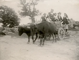 Familie på oksevogn, Sardinia, Italia, ca. 1910