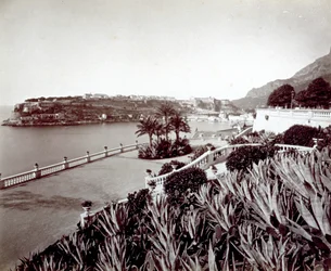 Panorama av Montecarlo. I forgrunnen tett vegetasjon av agaveplanter og kaktus