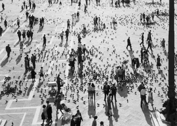 Utsikt over folkemengdene på Piazza San Marco, Venezia, ca. 1965 (s/hvitt-bilde)