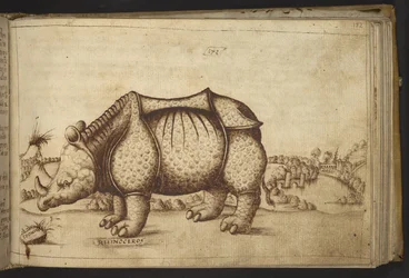 Legge til. 82955, f.172 Rhinocerous., fra Historia Animalium
