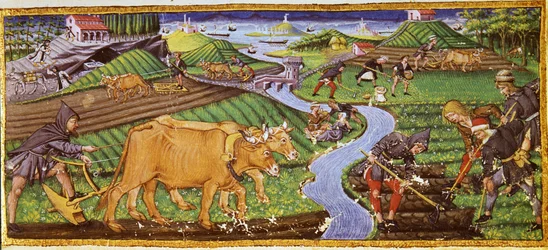 Jordbruk på begynnelsen av 1400-tallet. Biblioteca Riccardiana, Firenze.