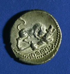 Mynt fra de italiske stammene som viser en okse som angriper den romerske ulvetispen, 89-90 f.Kr.