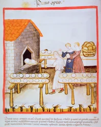 Fol.63v Baking av brunt brød, illustrasjon fra Tacuinum Sanitatis