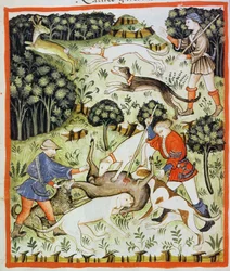 Fol.71v Jaktgaselle, illustrasjon fra Tacuinum Santiatis Codex Vindobonensis