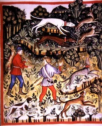 Fol.72r Hunting Hare, illustrasjon fra 