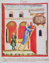 Fol.85v Eddik, illustrasjon fra Tacuinum Santiatis Codex Vindobonensis