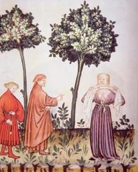 Fol.98v Kolera, illustrasjon fra Tacuinum Santiatis Codex Vindobonensis