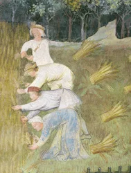 Høsting av hvete, detaljer (fresco)