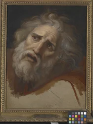 Head Of Laocoon (olje på lerret)