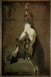 Le dindon - kalkunen …