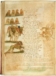 Ms Ital 483 P.4.7 f.156v Gemini, Leo and Cancer, fra 