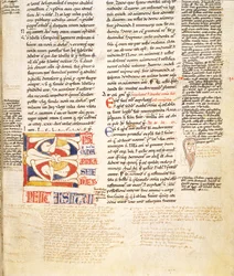 Ms. McClean 135, f.96r: detalj av en planteform historikert initial C fra Gratians Decretum, sent på 1100-tallet