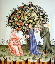 Nova 2644 fol.38r Gathering Roses, illustrasjon fra Tacuinum Santiatis Codex Vindobonensis