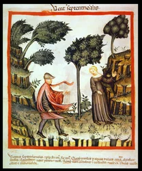 Nova 2644 fol.58v Nordavinden, fra Tacuinum Sanitatis