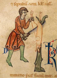 November, Butcher quarters pig, miniatyr fra Martyrology of Adonis, Italia