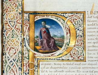 Portrett av Plinius den eldre
