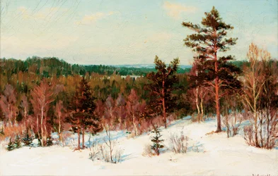 Vinter - Utsikt over skogen