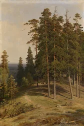 Furuskogen, 1895