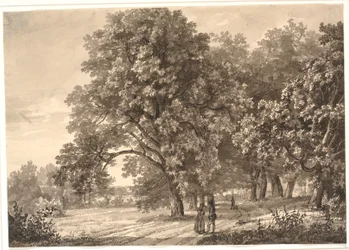 Utsikt over en vei i en skog nær Sorø, Sjælland