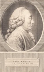 Charles Bonnet   1263625   no       norwegian Successfully Translated  Original: Mary Magdalene Translat: Mary Magdalene 1408391 no norwegian Successfully Translated Original: Spanish Scene (Scène espagnole) Translat: Spanish Scene (Scène espagnole) 124944