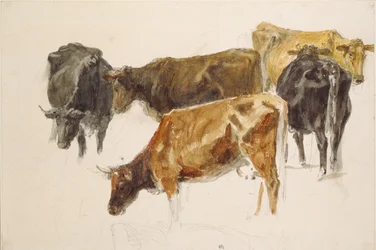 Studie av en gruppe kuer, c1801