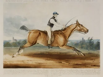 Portrett av Mr William Hutchinson på 'Stareing Tom', gravert av H. Meyer