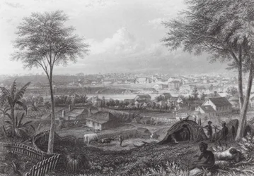 Australia: Brisbane (gravering)
