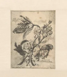 Blomster bundet sammen med et bånd Tulipe fond Jaune / Panachée de rouge / Giroflée simple rouge / (...) dobbel fiolett et blanc (tittel på objekt)