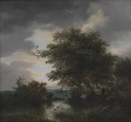 Eiketrær ved en dam