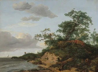 Sanddyner ved havet
