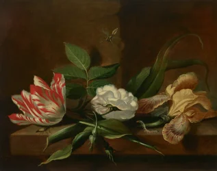 En papegøyetulipan, en rose, en iris og insekter på et trebord