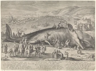 Hval strandet ved Berckhey, 1598