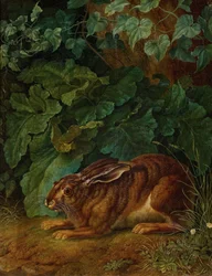 Engelsk: Hare i buskene