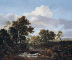 Skogslandskap med en bekk